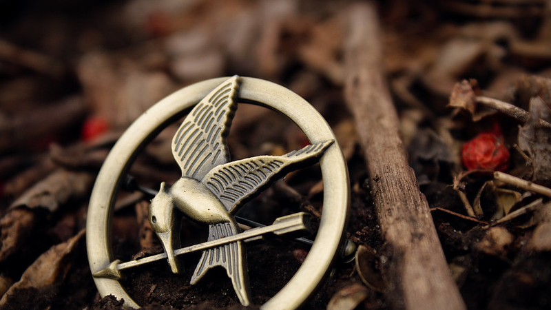 hunger games mockingjay pin